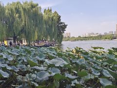 -济南大明湖景区