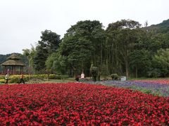 景点-广州市石门国家森林公园