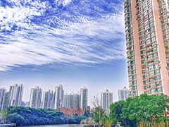 -苏州河梦清园环保主题公园