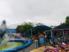 -海合安武汉极地海洋公园