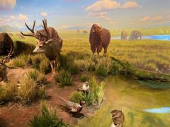 -陕西自然博物馆