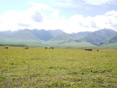 -新疆那拉提国家旅游度假区