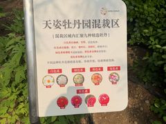 -太阳宫公园