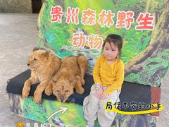 -贵州森林野生动物园