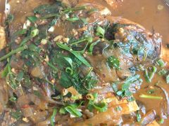 -庆岭迎宾园正宗活鱼馆