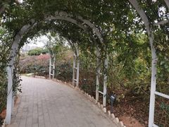 -立新湖公园