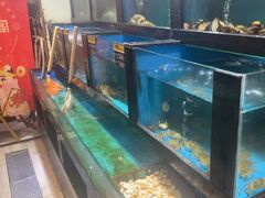 -聚鑫阁江浙菜·非遗传承技艺(青村帝华园店)