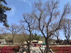 -红螺寺