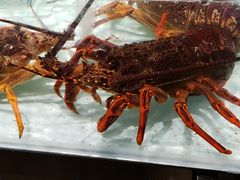 -沈阳商业城(中街路店)