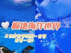 -石家庄极地海洋世界