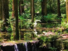 -杭州西湖风景名胜区-满觉陇四眼井