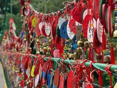 -西双版纳原始森林公园