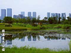 -桂溪生态公园