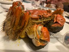 -阳澄湖费尔蒙酒店颐丰阁中餐厅(马鞍山西路店)