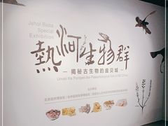 -国家自然博物馆