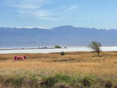-盐湖景区