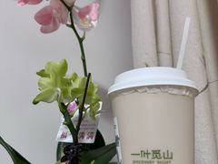 -一叶觅山(半边街店)