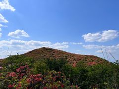 -大围山国家森林公园