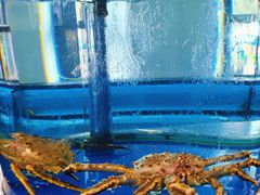 -正德楼果木烤鸭·渔家菜(东港店)