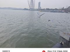 -蠡湖大桥公园