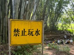 -田心森林公园