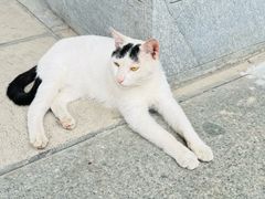 -四门塔风景区