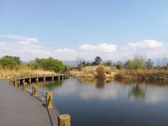 -西昌邛海湿地