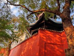 -白帝城·瞿塘峡景区