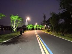 -羊山湖公园