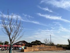 -盘龙城国家考古遗址公园