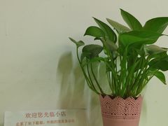 -大益烤鸡