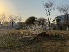 -后襄河公园