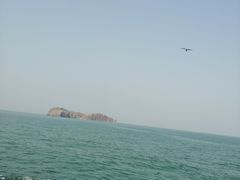 -海驴岛(荣成市)