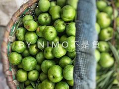 -海窝子古镇