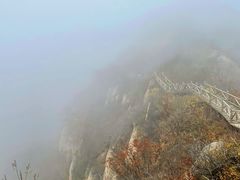 -大岭沟猕猴桃谷风景区