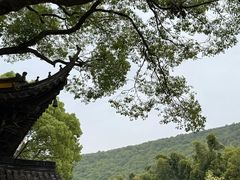 -宝岩生态观光园