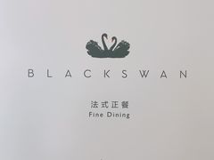 -BLACKSWAN黑天鹅(环球店)