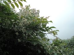 景点-穹窿山景区