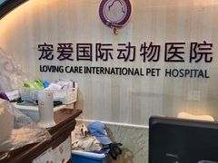 -宠爱国际动物医院·消化内科·心肾内科·ISFM猫友好(望京店)