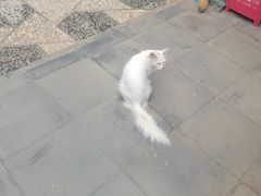 -李叔同故居纪念馆