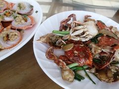 -七鲜渔港美食餐厅(巽寮湾海景店)