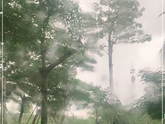 -万绿园