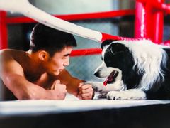 -格斗兄弟搏击健身训练馆(望京店)