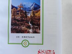-上海书城(福州路店)