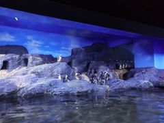 -暹罗海洋世界