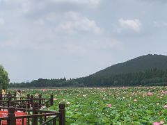 -云龙湖旅游景区