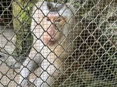 -海南热带野生动植物园