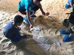 -恐龙探索乐园(磁器口店)