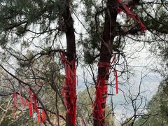 -青州市云门山风景区