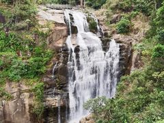 -海南热带雨林国家公园吊罗山景区